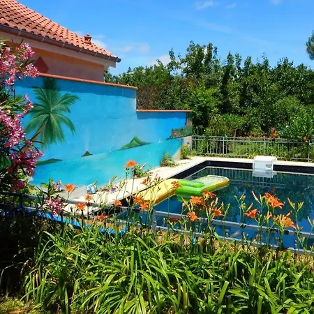 2 Et Salle De Bain Un Oasis De Bien Etre Piscine Et Jardin Direct Gare Aeroport Nocleg ze śniadaniem Tuluza