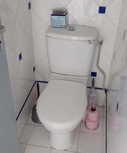 2 Et Salle De Bain Un Oasis De Bien Etre Piscine Et Jardin Direct Gare Aeroport トゥールーズ