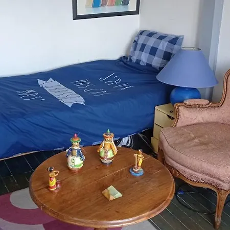 2 Et Salle De Bain Un Oasis De Bien Etre Piscine Et Jardin Direct Gare Aeroport * טולוז