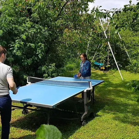 2 Et Salle De Bain Un Oasis De Bien Etre Piscine Et Jardin Direct Gare Aeroport تولوز