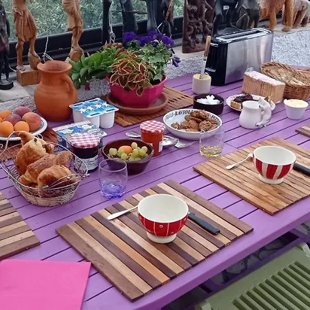 2 Et Salle De Bain Un Oasis De Bien Etre Piscine Et Jardin Direct Gare Aeroport * تولوز