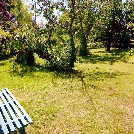 2 Et Salle De Bain Un Oasis De Bien Etre Piscine Et Jardin Direct Gare Aeroport 住宿加早餐酒店