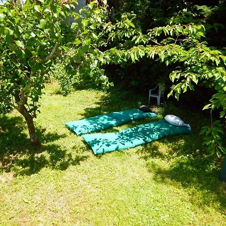 住宿加早餐酒店 2 Et Salle De Bain Un Oasis De Bien Etre Piscine Et Jardin Direct Gare Aeroport