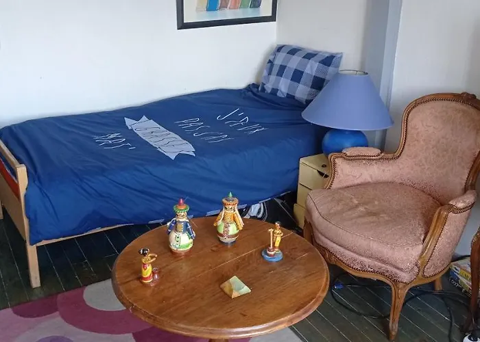 2 Et Salle De Bain Un Oasis De Bien Etre Piscine Et Jardin Direct Gare Aeroport * Toulouse