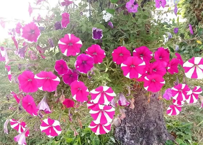 2 Et Salle De Bain Un Oasis De Bien Etre Piscine Et Jardin Direct Gare Aeroport Bed & Breakfast *